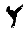 Wado Ryu Karate i Hemsedal
