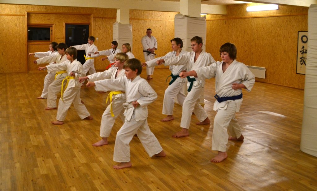 Wado Ryu Karate Hemsedal